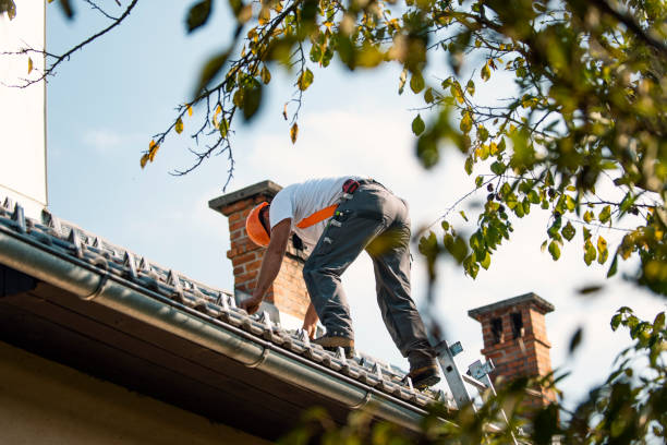 Roof Gutter Cleaning in Siloam Springs, AR